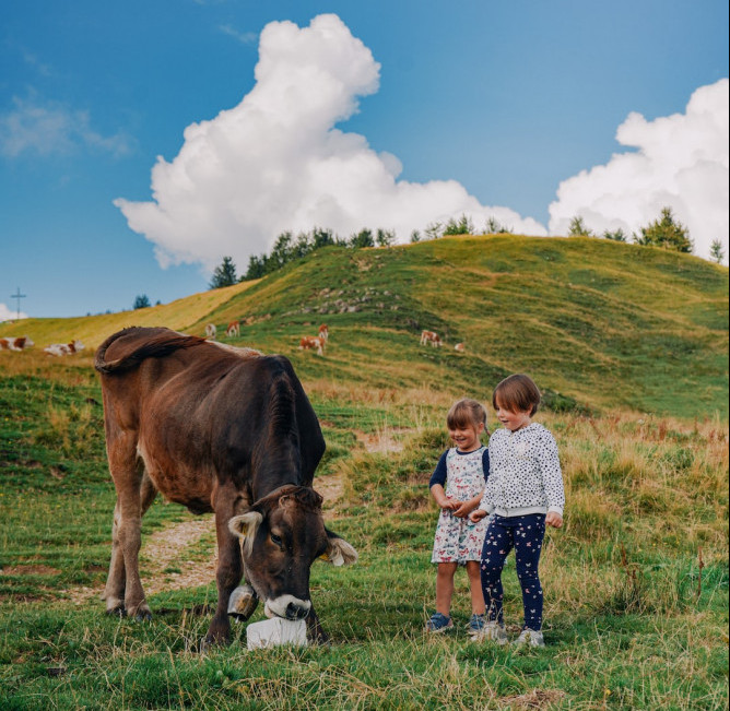 children in field with cow